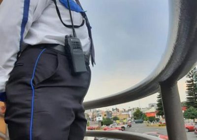 SISEP | Sistemas en Seguridad Privada - 10